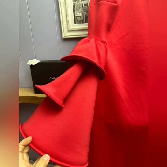 Gorgeous plus size dress - Picture 9 of 16